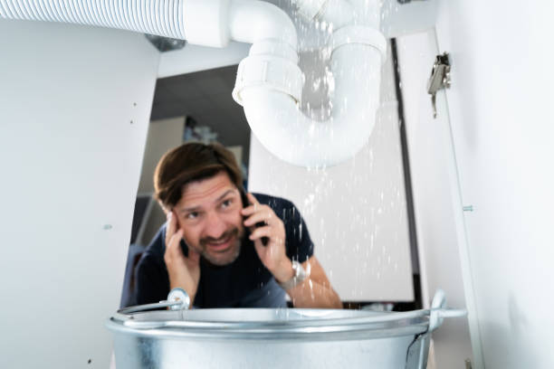 Best Local Plumber Services  in South Beloit, IL